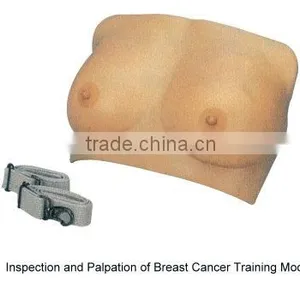 Inspection and Palpation of Breast Cancer Training Model thumbnail-1