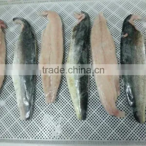 Bonito Fillet thumbnail-2