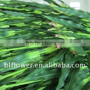 Silk Corn Plant Natural Touch thumbnail-1
