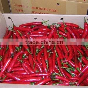 Chili Peppers thumbnail-2