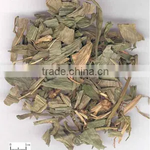 Herba Lophatheri Gracilis Bamboo Leaves Lophatherum Gracile thumbnail-1