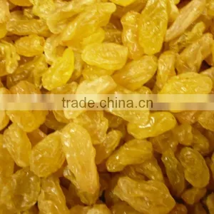 All Kinds of Dried Raisin (green Raisin/red Raisin /golden Raisin/sultana) thumbnail-1
