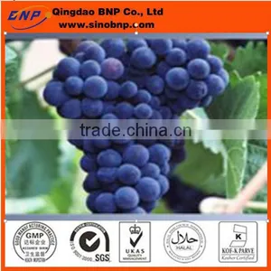 Red Grape Skin Extract-Resveratrol,resveratrol 5% From Red Grape Skin thumbnail-1