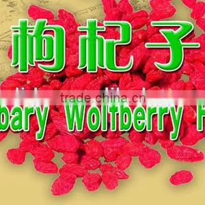 Superfine China Barbary Wolfberry Fruit thumbnail-5