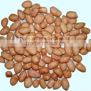 New Crop High Quality Peanut thumbnail-1