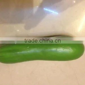 Decorative Plastic Fake Cucumber / Artificial Cuke for Props thumbnail-1