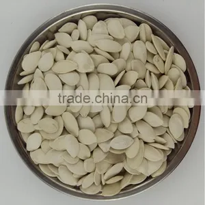 Pumkin Seeds Shine Skin Quality Manufactory for Export Grade A thumbnail-4