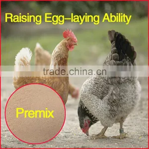 Laying Hens in the Laying Period Increase the Laying Rate Composite Additive thumbnail-1