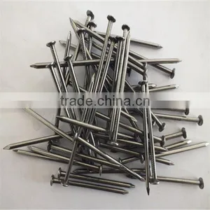 1/2"-13" High Quality Common Nails/ Stainless Steel Nail thumbnail-1