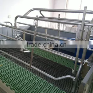 Pig Farrowing Crates,pig Cages for Pig Farm thumbnail-5