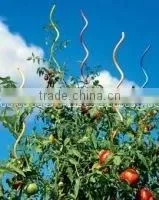 Tomato Spirals Wire thumbnail-1