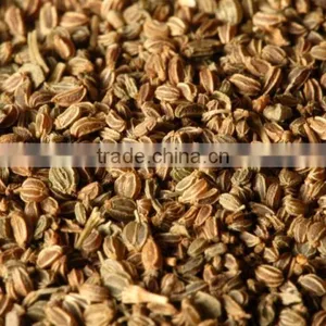 Celery Seeds thumbnail-2