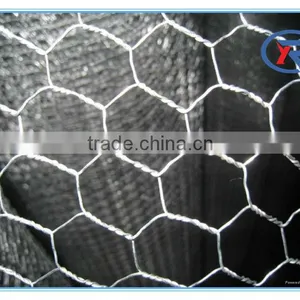 1/4",3/4" Cheap Decorative Chicken Wire /Rabbit Wire Mesh /Galvanized Hexagonal Wire Mesh thumbnail-5