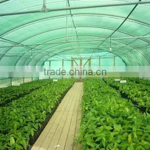 Polythene Film Solar Greenhouse For Vegetables thumbnail-5