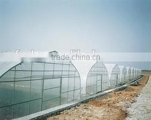Good Promotion Tunnel Greenhouse Film for Vegetables and Flowers thumbnail-3