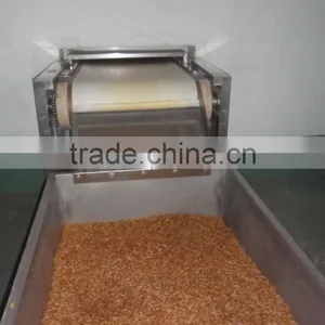 Dried Mealworms for Bird With High Protein thumbnail-3