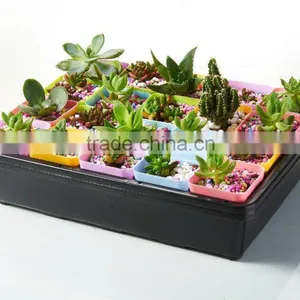 Plastic Raised Garden Bed thumbnail-3