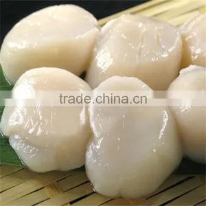 Frozen Comb Pen Shell Scallop Adductors With Delicious Taste thumbnail-1
