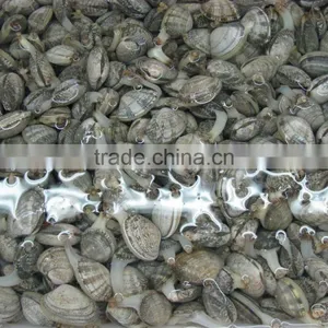 Cooked V-packed Baby Clam thumbnail-4