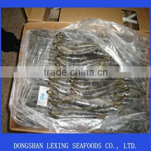 Frozen Whole Round Sardine for Tuna Bait thumbnail-1