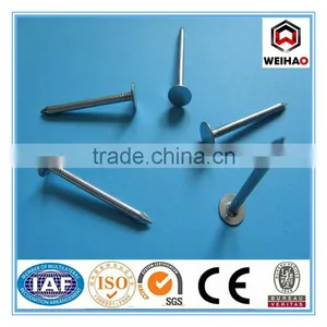 Hot-selling Polished Common Nails/roofing Nails/flat Head Nails thumbnail-1