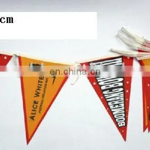 String Flag , Bunting Flag , Bunting thumbnail-1