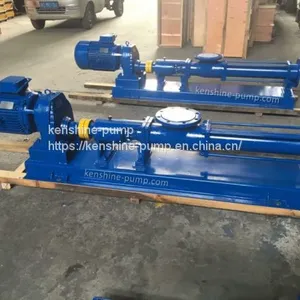 G Series Eccentric Helical Single Screw Pump thumbnail-2