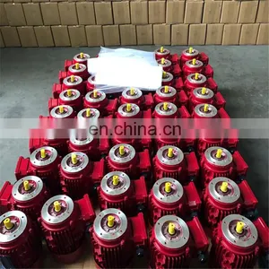 YE2 Series High Speed Electric Motor Three Phase Induction Motor for Industry Machinery Asynchronous Motor thumbnail-7