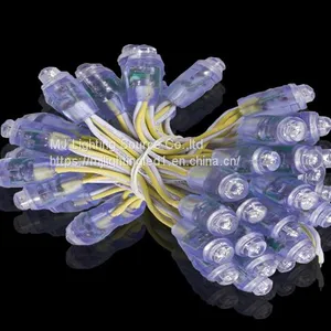 9mm LED Pixel Module Light 5V 12V LED Light Waterproof IP68 Channel Letters Shop Logo Sign thumbnail-1