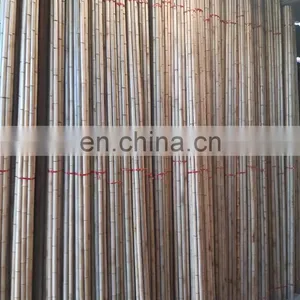 Sell off Competitive Price Premium Quality New Bamboo Various Size for Making Furniture From Distributor in Viet Nam thumbnail-5