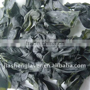 Low Calorie Food Salad Seaweed Kelp thumbnail-4