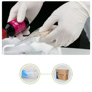 Latex Gloves thumbnail-2