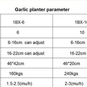 Garlic Planter 10 Rows thumbnail-5
