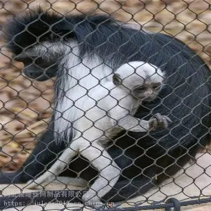 Woven 316 Stainless Steel Wire Rope Zoo Enclosures Mesh thumbnail-3
