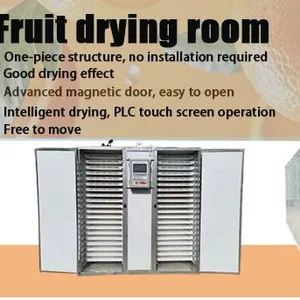 Stainless Steel 304 Industrial Drying Room for Fruits & Vegetables With Humidity Control thumbnail-3