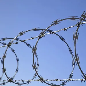 304 Stainless Steel Galvanized Barbed Wire (BTO-22, CBT-65) Razor Barbed Wire thumbnail-4