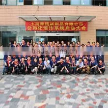 Shanghai Morteng Carbon Co., Ltd. company overview - view 3 thumbnail