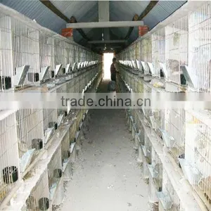 New Design Rabbit Cage /welded Rabbit Cage Wire Mesh thumbnail-1