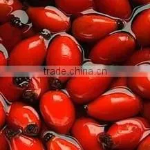 100 Pure Natural ROSE HIP SEED Oil,rosehip Oil thumbnail-1
