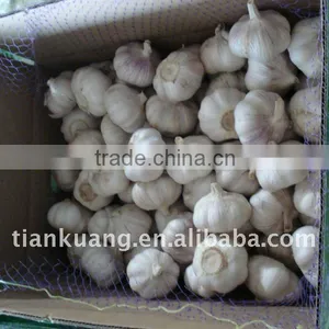 China Garlic Supplier thumbnail-1