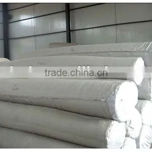 Flexible Geomembrane thumbnail-1
