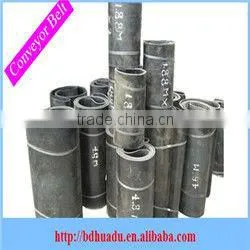 Nylon Endless Conveyor Belt thumbnail-1