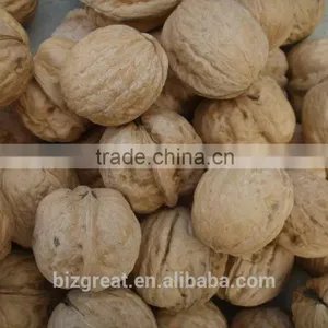 New Crop Bulk Walnut in Thin Shell for Sales thumbnail-3