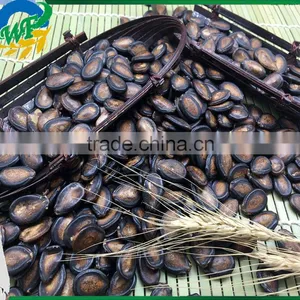 New Crop Chinese Black Watermelon Seed thumbnail-1