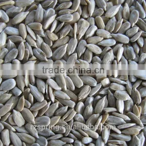 CONFECTIONARY GRADE SUNFLOWER SEED KERNELS thumbnail-2