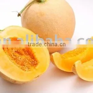 Fresh Cantaloup With Top Quality and Competitive Price thumbnail-1