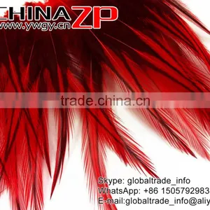 ZPDECOR Top Quality Feather Dyed Red Lace Pointy Rooster Cape Feathers thumbnail-4