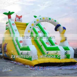 CE Certificates Durable Giant Inflatable Water Slide for Adult thumbnail-1