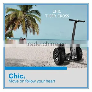2014 New Scooter, Patented Electric Chariot thumbnail-1