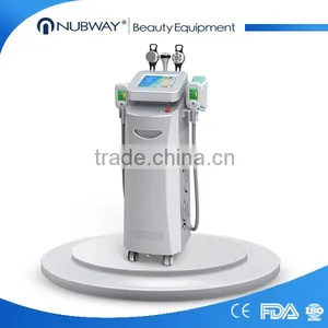 Low Price Cryolypolysis Fat Reducing Machine / Cryolypolysis Loss Weight Machine for Slim Body Device thumbnail-1